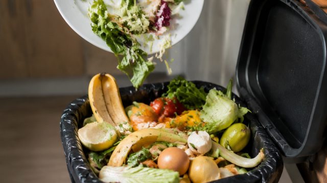 The Hidden Costs of Fresh Food Waste in European Households